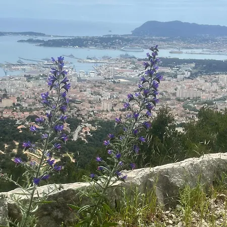 Apartmán T2 Cocooning Center-4 People