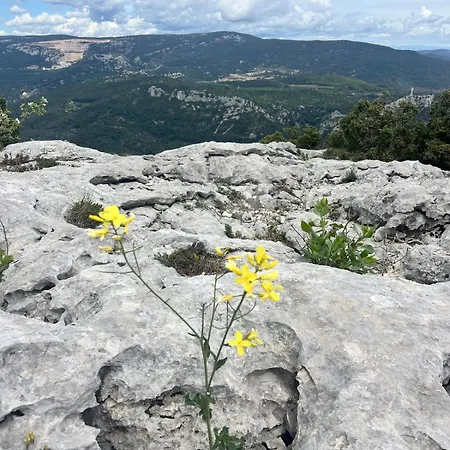 T2 Cocooning Center-4 People Apartmán *